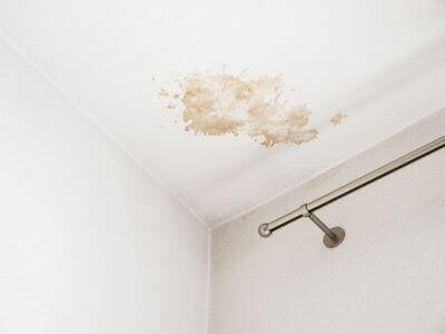 About Mold Remediation Springville Pros - mold remediation springville ut experts in Springville